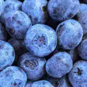 Blueberry