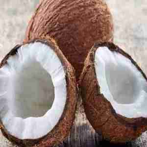 Coconut