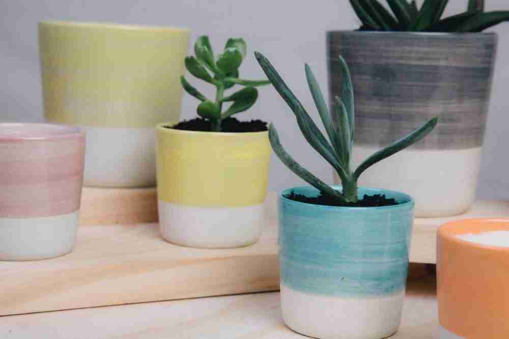 Brush Strokes Collection