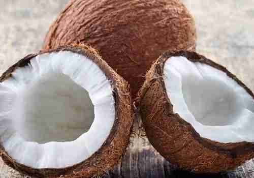 Coconut