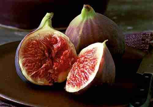 Rustic Fig