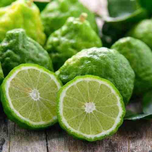 Bergamot